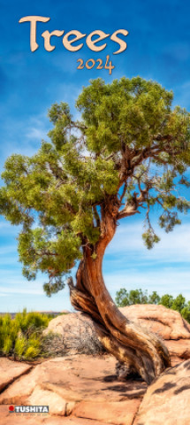 Naptár/Határidőnapló Trees 2024 