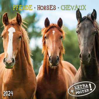 Kalendár/Diár Horses/Pferde 2024 