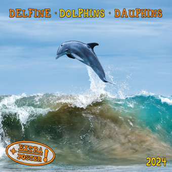 Календар/тефтер Dolphins/Delfine 2024 