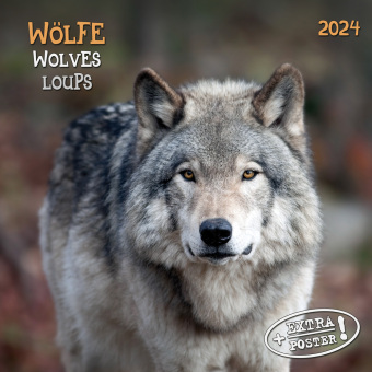 Naptár/Határidőnapló Wolves/Wölfe 2024 
