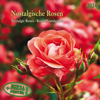 Kalendář/Diář Nostalgic Roses/Nostalgische Rosen 2024 