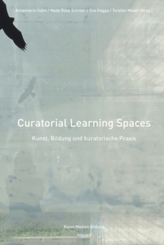 Kniha Curatorial Learning Spaces Nada Rosa Schroer