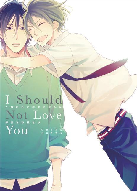 Könyv I Should Not Love You 