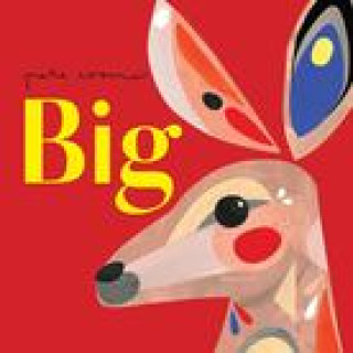 Buch Big 