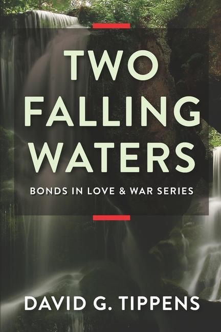 Knjiga Two Falling Waters David G. Tippens