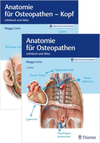 Carte Set Anatomie für Osteopathen 