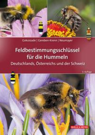 Kniha Feldbestimmungsschlüssel für die Hummeln Deutschlands, Österreichs und der Schweiz Barbara-Amina Gereben-Krenn