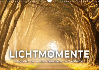 Calendar/Diary Lichtmomente - Fotografien, die in einem besonderen Licht erstrahlen. (Wandkalender 2024 DIN A3 quer) 