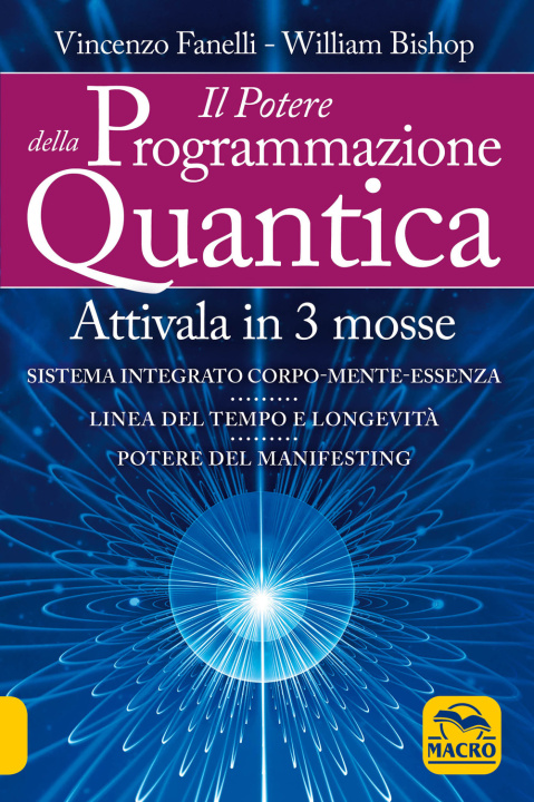 Carte potere della programmazione quantica Vincenzo Fanelli