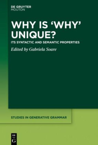 Knjiga Why is 'Why' Unique? Gabriela Soare