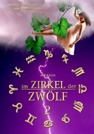 Buch im Zirkel der Zwölf M.B. Reese