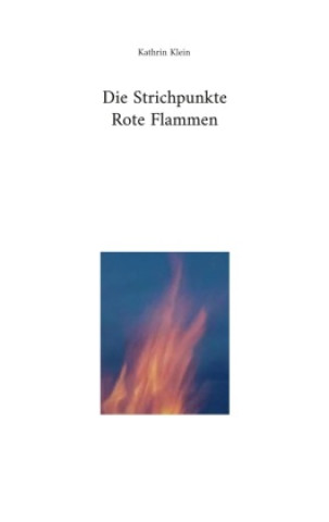 Knjiga Die Strichpunkte Rote Flammen Kathrin Klein