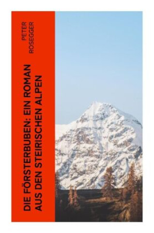 Kniha Die Försterbuben: Ein Roman aus den steirischen Alpen Peter Rosegger