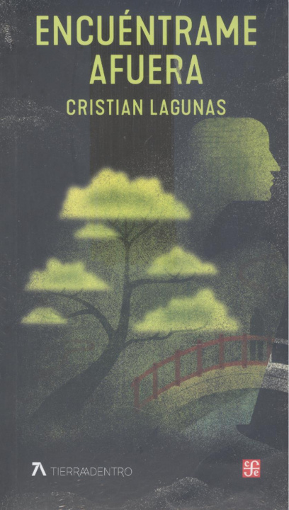 Buch ENCUENTRAME AFUERA CRISTIAN LAGUNAS
