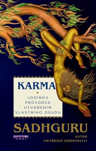 Book Karma - Jogínův průvodce vaším osudem 