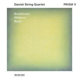 Audio Prism V Ludwig van Beethoven