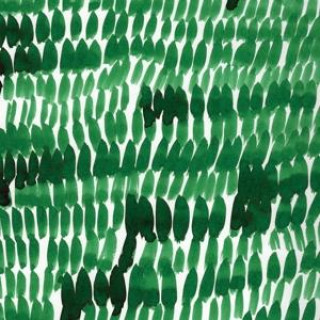 Audio Afterpoem Faten Kanaan
