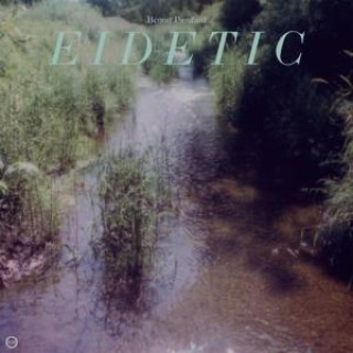 Zvok Eidetic 