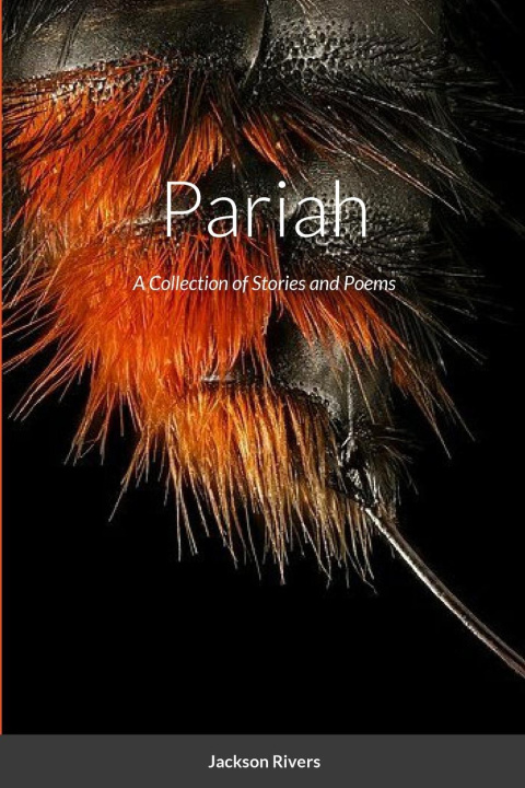 Knjiga Pariah Jackson Rivers