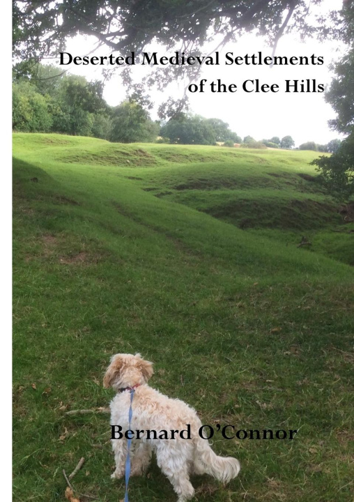 Könyv Deserted Medieval Settlements in the Clee Hills, Shropshire 