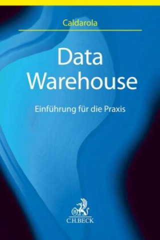Βιβλίο Data Warehouse Maria Cristina Caldarola