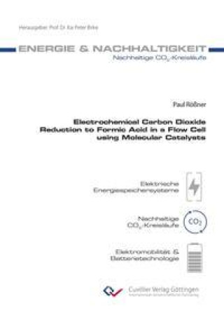 Könyv Electrochemical Carbon Dioxide Reduction to Formic Acid in a Flow Cell using Molecular Catalysts 