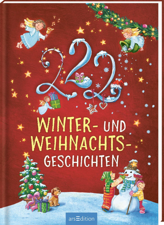 Kniha 222 Winter- und Weihnachtsgeschichten Sandra Grimm