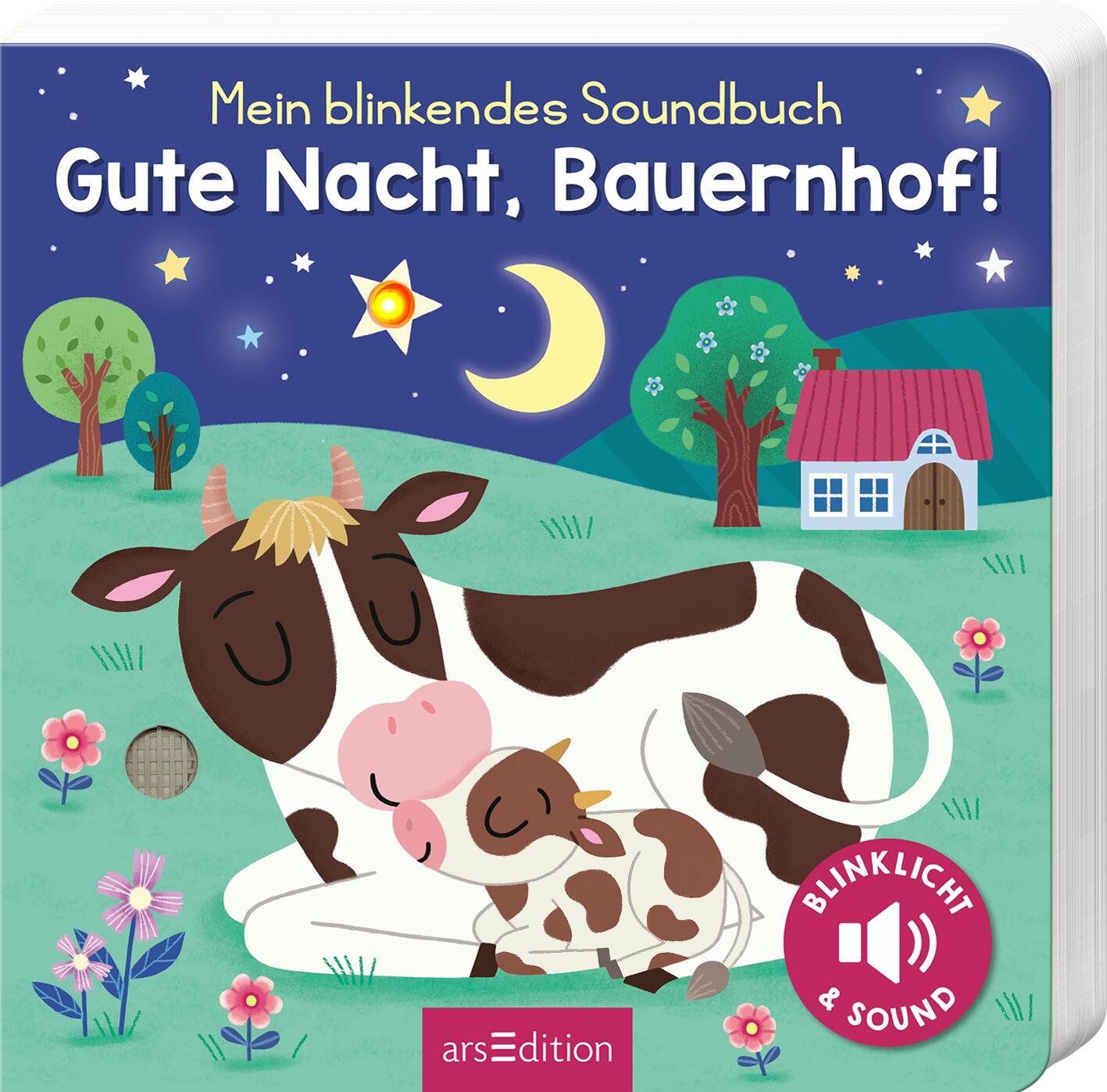 Carte Mein blinkendes Soundbuch - Gute Nacht, Bauernhof! Maria Höck