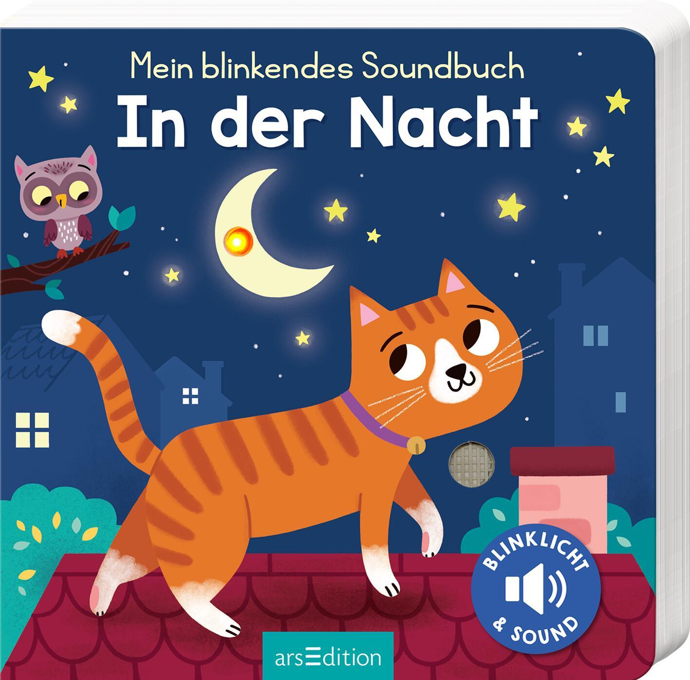 Kniha Mein blinkendes Soundbuch - In der Nacht Kasia Dudziuk