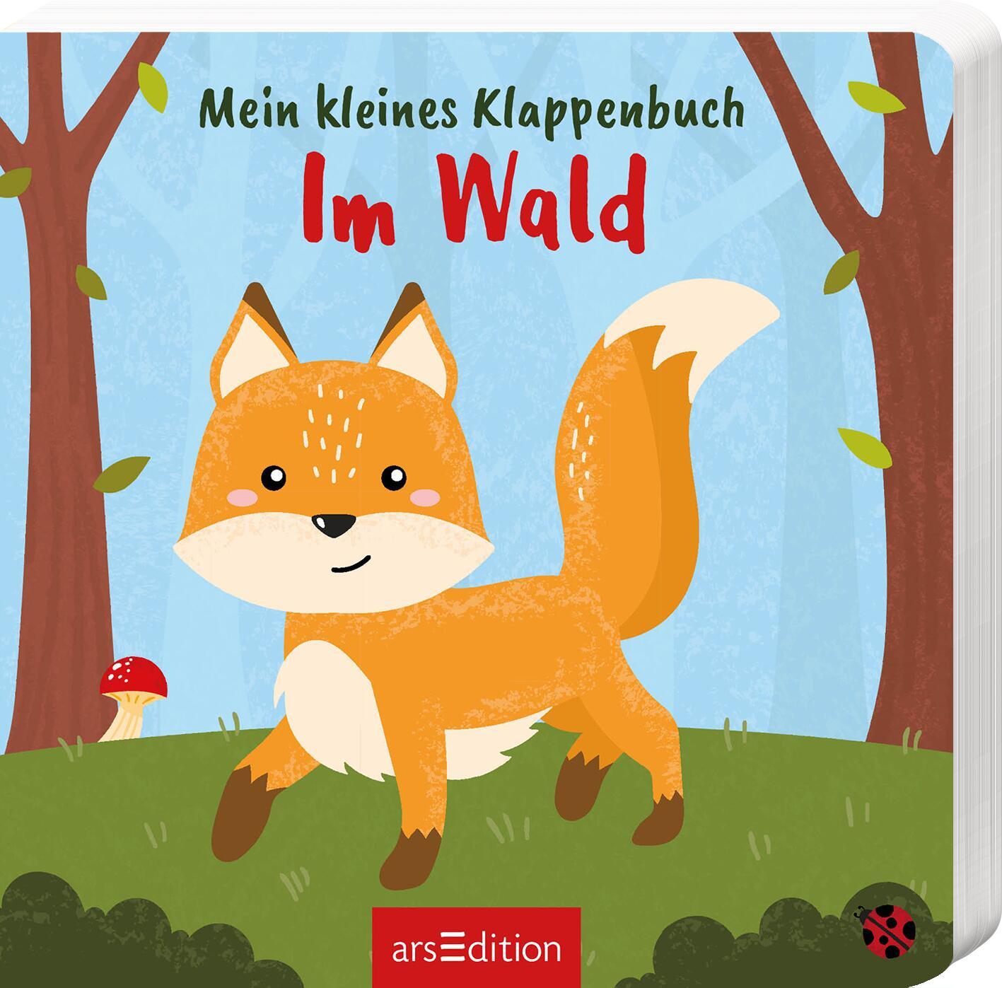 Kniha Mein kleines Klappenbuch - Im Wald Anan Wainakh