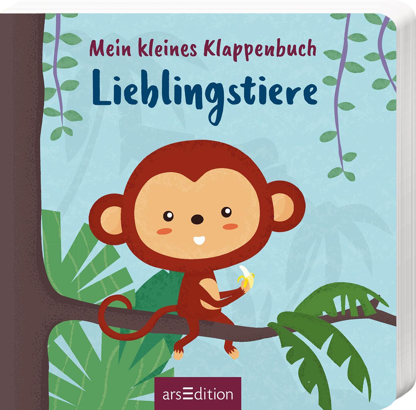 Könyv Mein kleines Klappenbuch - Lieblingstiere Anan Wainakh