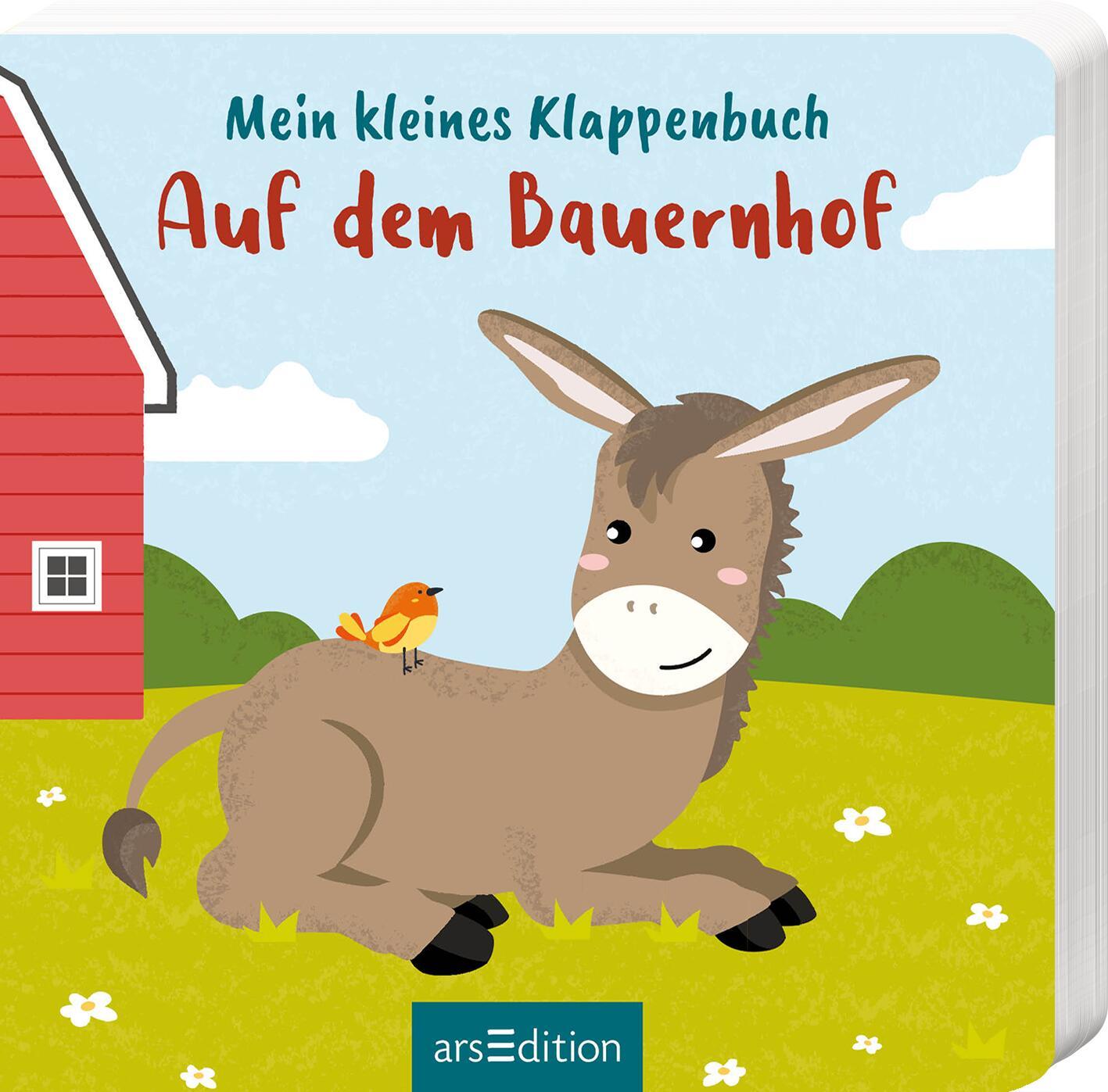 Kniha Mein kleines Klappenbuch - Bauernhoftiere Anan Wainakh
