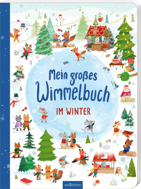 Könyv Mein großes Wimmelbuch: Mein großes Wimmelbuch - Im Winter Kathryn Selbert