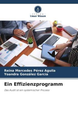 Knjiga Ein Effizienzprogramm Yoandra González García