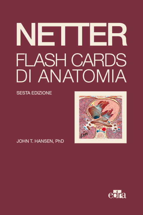 Carte Netter Flash cards di anatomia John T. Hansen