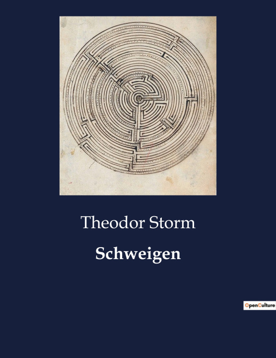 Knjiga Schweigen Storm