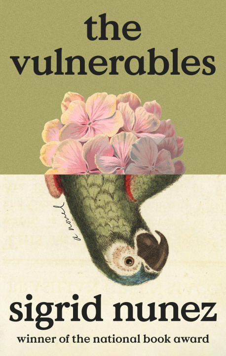 Könyv The Vulnerables 