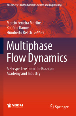 Книга Multiphase Flow Dynamics Marcio Ferreira Martins