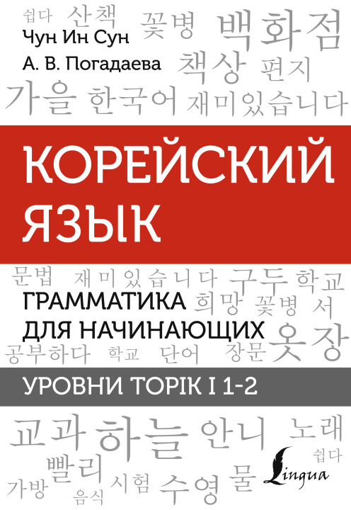 Kniha Корейский язык. Грамматика для начинающих. Уровни TOPIK I 1-2 Ин Сун Чун