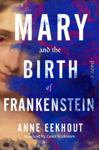 Książka Mary & the Birth of Frankenstein 