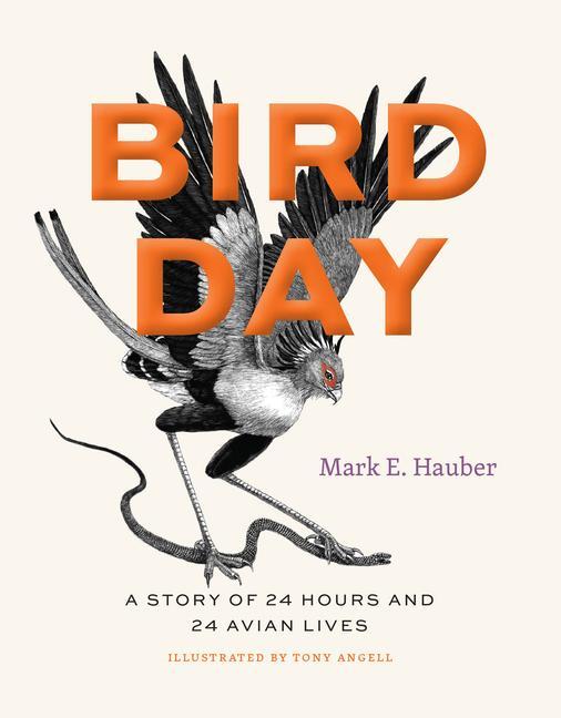 Kniha Bird Day – A Story of 24 Hours and 24 Avian Lives Mark E. Hauber