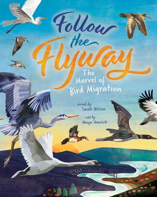 Könyv Follow the Flyway: The Marvel of Bird Migration Maya Hanisch