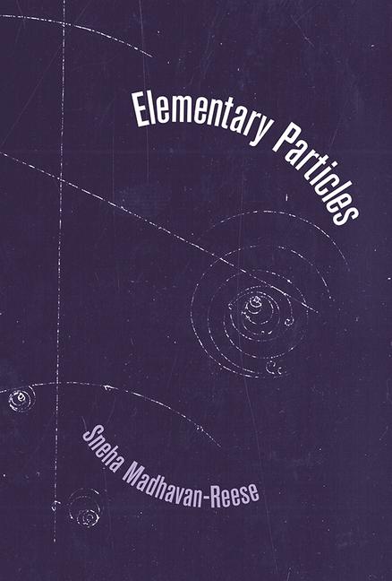 Knjiga Elementary Particles 
