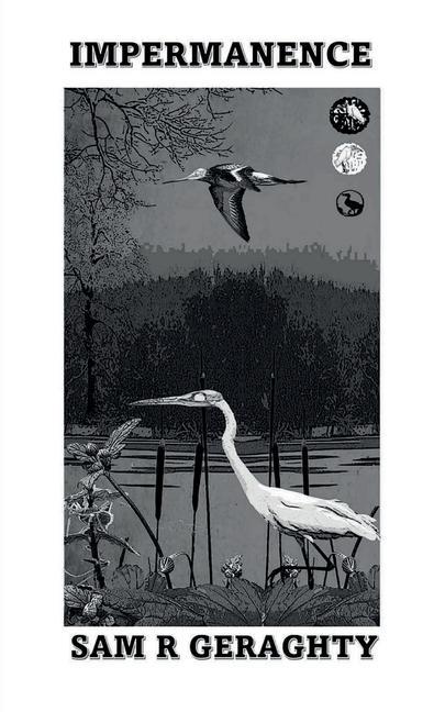 Book Impermanence Sam R Geraghty