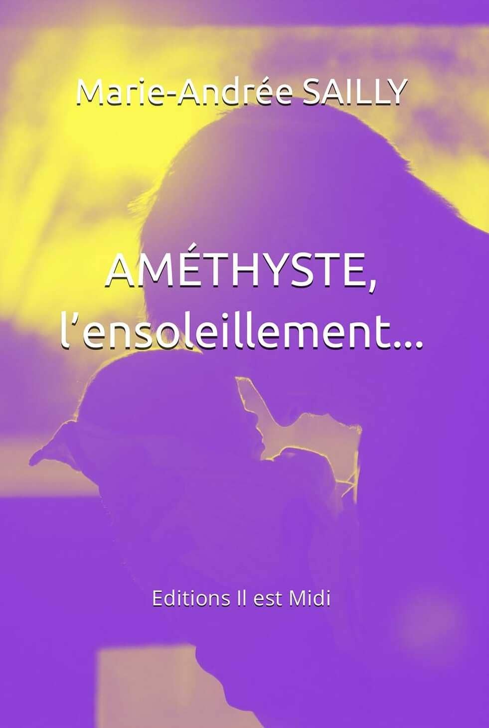 Knjiga AMÉTHYSTE, l'ensoleillement... SAILLY