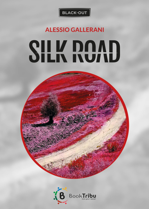 Knjiga Silk road Alessio Gallerani