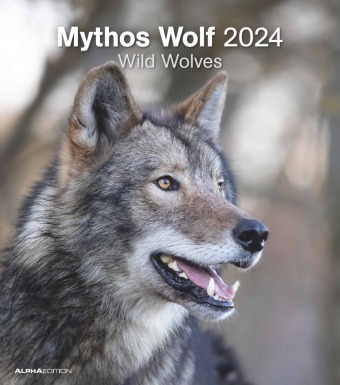 Naptár/Határidőnapló Mythos Wolf 2024 - Foto-Kalender - Wand-Kalender - 30x34 ALPHA EDITION
