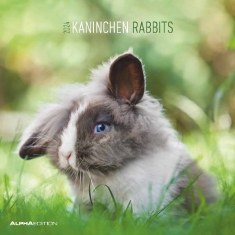 Calendar/Diary Kaninchen 2024 - Broschürenkalender 30x30 cm (30x60 geöffnet) - Kalender mit Platz für Notizen - Rabbits - Bildkalender - Wandplaner - Wandkalender ALPHA EDITION