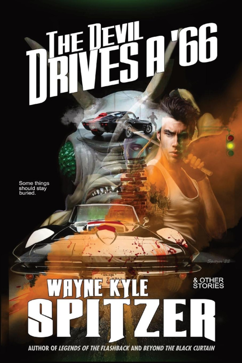 Buch The Devil Drives a '66 Wayne Kyle Spitzer