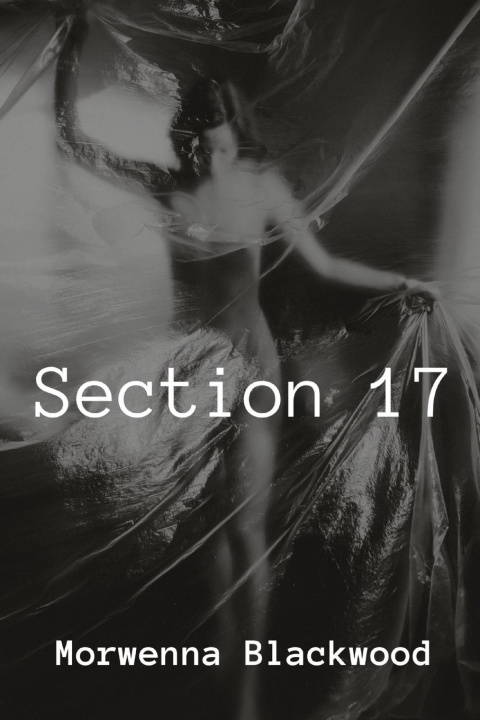 Knjiga Section 17 Morwenna Blackwood